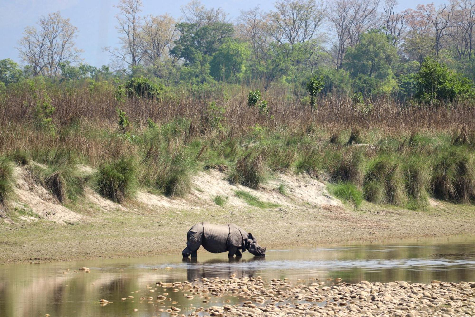 Forest Hideaway Resort Pvt Ltd Bardiya المظهر الخارجي الصورة