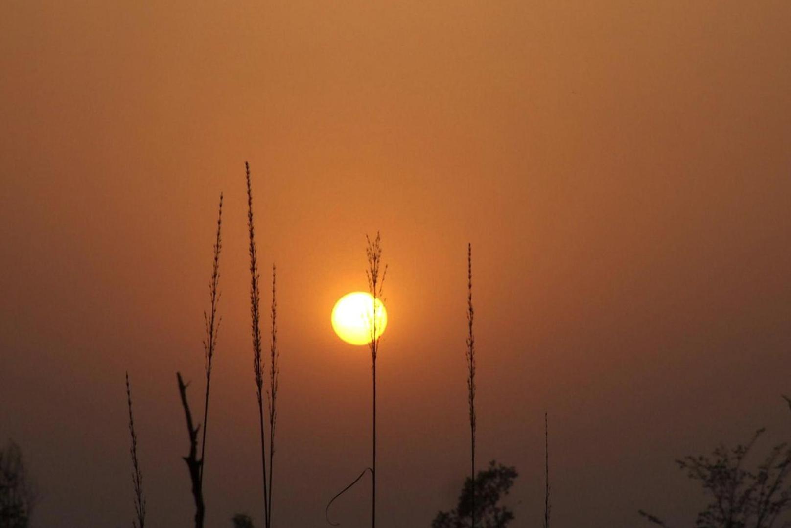 Forest Hideaway Resort Pvt Ltd Bardiya المظهر الخارجي الصورة